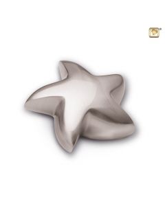 Ster Messing Zijdeglans