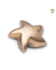 Ster Messing Zijdeglans